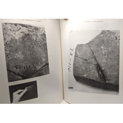 Fingerprints and archaeology / Studies in Mediterranean...