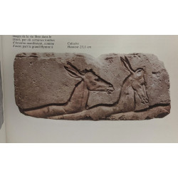 Égypte éternelle - chefs-d'oeuvre du Brooklyn Museum ---...