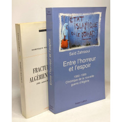 Entre l'horreur et l'espoir : Algérie de 1990 à 1999 + La fracture...