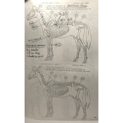Acupuncture in Animals - in conjonction with the australian...