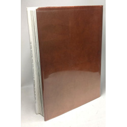 Art et Dieux de la Gaule - 314 héliogravures 4 cartes