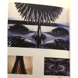 Meta Visual : 10e anniversaire du Tokyo Metropolitan Museum of...