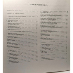 Malerei der Donauschule