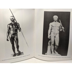 Bewegungsweisen und verhaltensziele - physiognomische...
