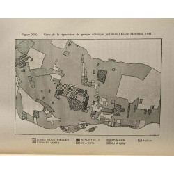 Les caractéristiques sociales de la population du grand montréal -...