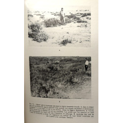 Éléments de géographie botanique