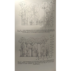 Éléments de géographie botanique