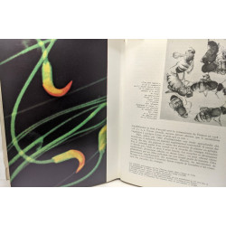 Histoire illustrée de la Biologie