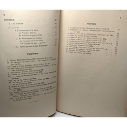 Iconographie des bacchantes d'Euripide