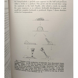 The biology of Hydra and of some other coelenterates