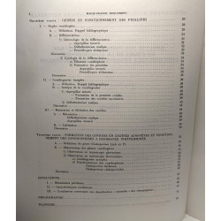 Analyse des Phénomènes Parietaux au Cours de la Conidiogénèse chez...