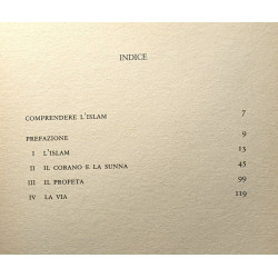 Comprendere l'Islam (Saggi e documenti del Novecento)