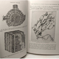 Introduction to Plant Pathology