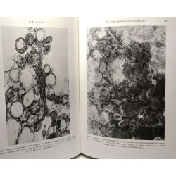 Lysosomes in Biology and Pathology TOME 2 (1969) + TOME 3 (1973) /...