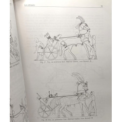Les chevaux du nouvel empire égyptien : Origines races...