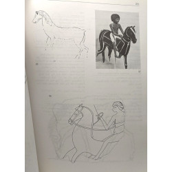 Les chevaux du nouvel empire égyptien : Origines races...