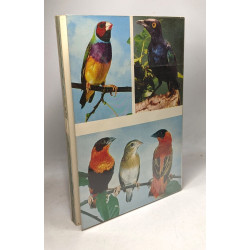 Oiseaux exotiques dans leurs couleurs