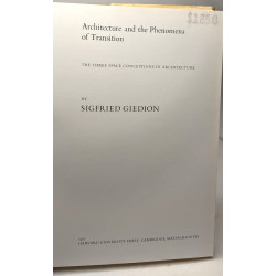 Architecture and the Phenomena of Transition: The Three Space...