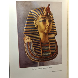 Tout-Ankh-Amon