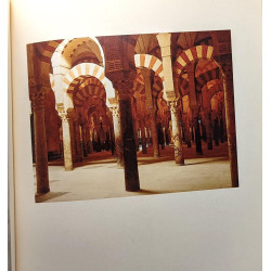 L'immaginario e l'architettura nella letteratura araba medievale