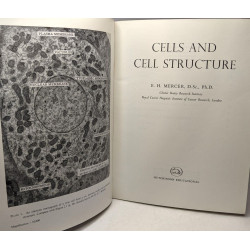 Cells and cell structure