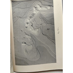 Le volcanisme lunaire et terrestre origine des continents des...