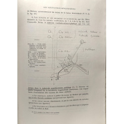 Physiologie du système nerveux central