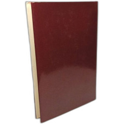 Elementary Structures Reconsidered: Levi-Strauss on Kinship