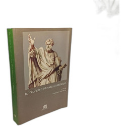 Il processo penale canonico (Quaderni di Apollinaris)