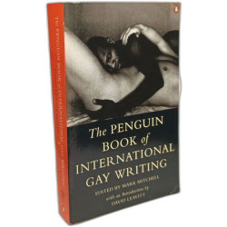 The Penguin Book of International Gay Writing