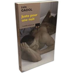 Juste Pour Une Nuit : 7 Nouvelles érotiques Gay