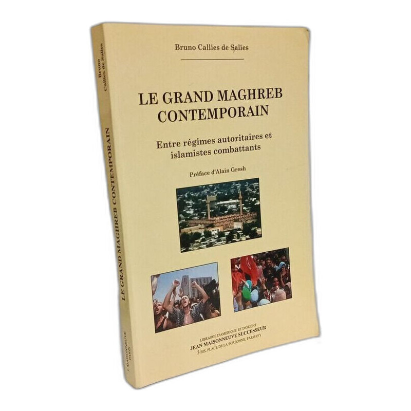 Le Grand Maghreb contemporain. Entre régimes autoritaires et...