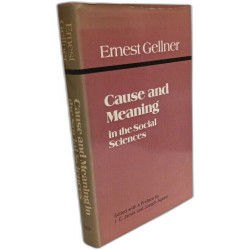 Cause and Meaning in the Social Sciences