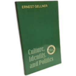 Culture Identity and Politics