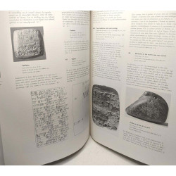 In De Schaduw Van Babel à L'ombre De Babel De Kunst Van Het Oude...