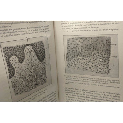 Éléments d'Histologie - structure et évolution de la matière vivante