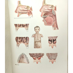 Ma doctoresse.Guide pratique d'hygiène et de médecine de la femme...