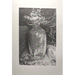 Corpus des amphores découvertes dans l'Ouest de la France - Volume...