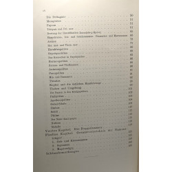 Griechisch-ägyptische namenstudien
