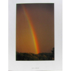 The poet's star photographs and poems