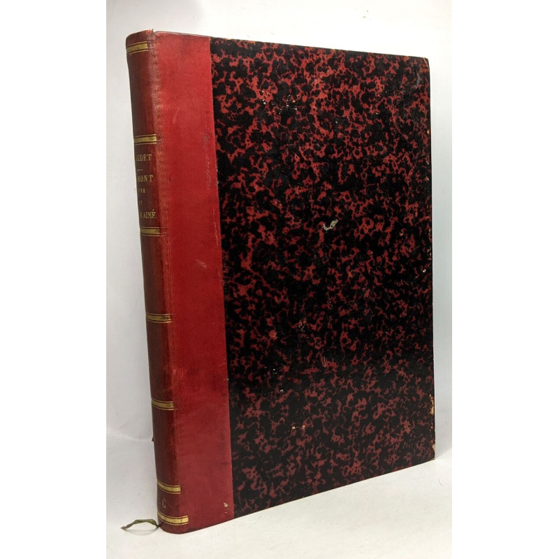 Fromont jeune et Risler ainé - illustrations par Edmond Morin