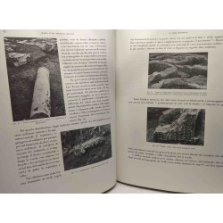 Ricerche archeologiche nell'isola sacra - Monografie II - istituto...
