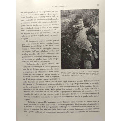 Ricerche archeologiche nell'isola sacra - Monografie II - istituto...