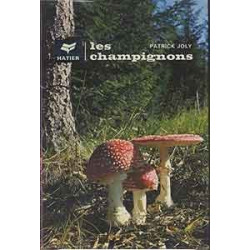 Les champignons