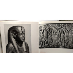 The woman in egyptian art