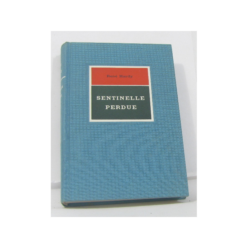 Sentinelle perdue