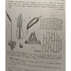 Bryophytes - Vol. II - fascicule 2 et 3 - édités ente 1961 et 1964...