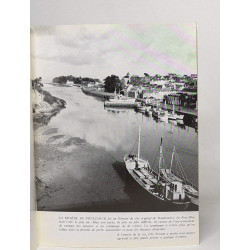 Douarnenez port de pêche