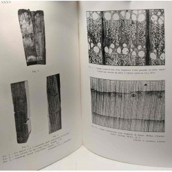 Archaeologia Belgica 59 - extrait de Latomus T.XX 1961 pp.759-805