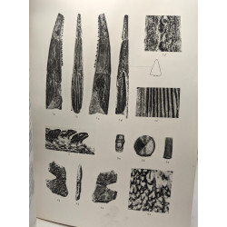 Materiaux pour la Faune Ichthyologique Eocretacique du Congo /...